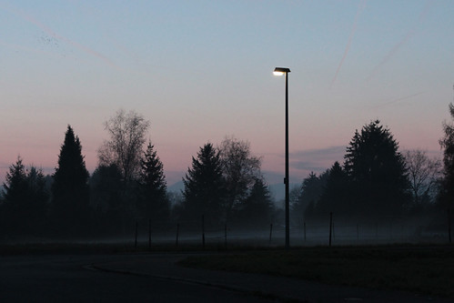 dying day by dorthrithil, street trees sunset mist lamp fog night evening streetlamp bluehour mystic