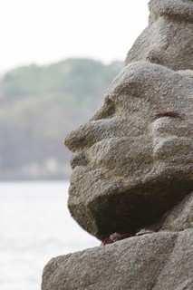 Face in the Rocks