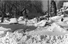 One man carries a shovel while two others shovel snow on a residential street after the snowstorm of 1982 in Denver, Colorado. (Denver Public Library Digital Collection)