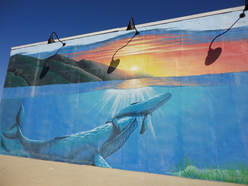 Whales Mural at Paradise Car Wash in Raymore, MO_DSC03287 by Wampa-One, sunset mural carwash whale whales cheesy highway58 raymoremo paradisecarwash