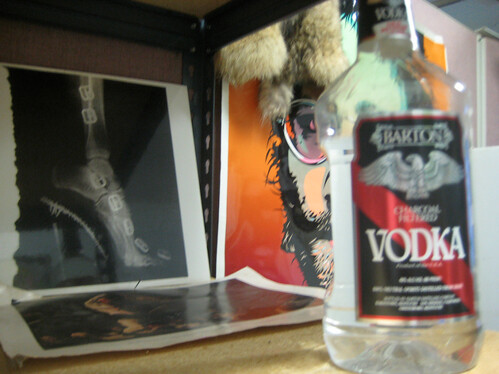 Vodka & Xray | by rachelkaltenbach