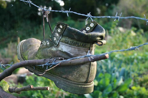 Boot | by LilyJam