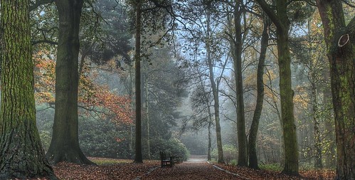 park autumn trees mist bench path seat leeds goldenacrepark