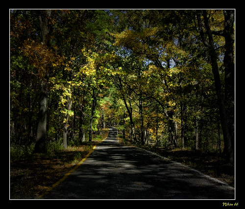 fall colors leaves nikon missouri roadway d300 1424mmf28nikkor ©copyright