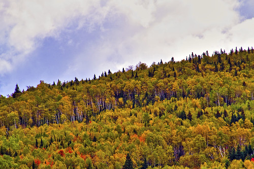 sky canada nature fallcolor quebec hill scenic quebeccity hdr woodchuckiam