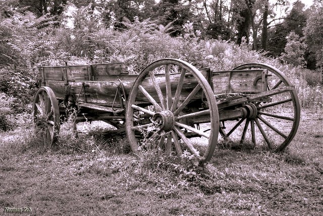 Abandoned Cart  (Lehigh Valley, Pennsylvania)