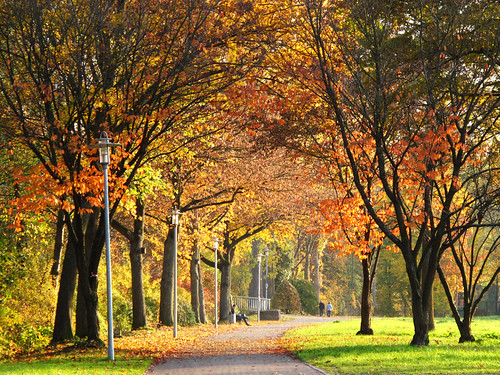 Autumn Walk in the Park by Batikart