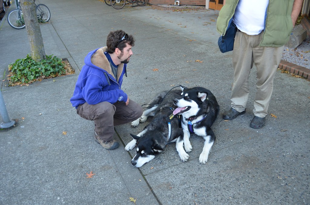 Occupy Bellingham protest | Bellingham, WA, USA 2011.10.07 P… | Flickr