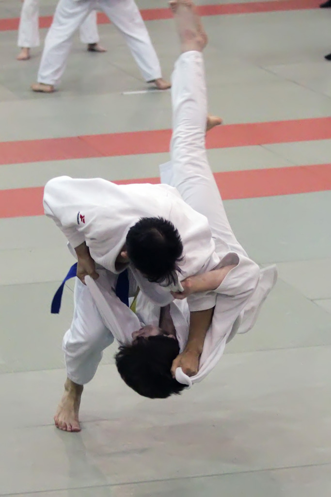 Прически на соревнования по дзюдо. Что такое охват в дзюдо. Judo stance. Как собрать волосы на соревнования по дзюдо. Джитсу человек