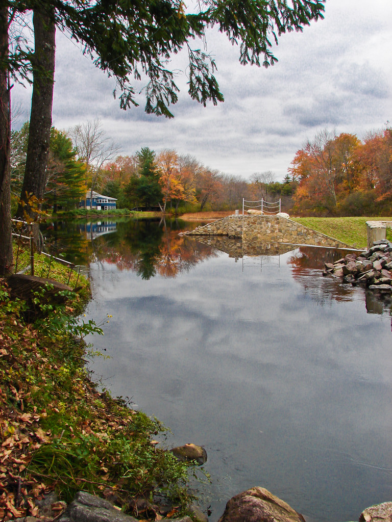 Warner's Pond