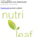 Team Guids WP7 App - Nutri Leaf