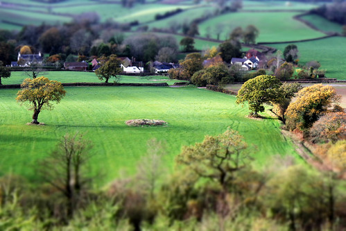 Toy Effect Trees | by Raphooey