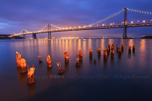 sanfrancisco california bridge reflection water dawn lights bay pier suspension seagull baybridge embarcadero pilings tomschwabel