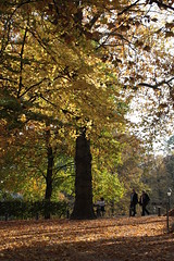 Parc Leopold in autumn
