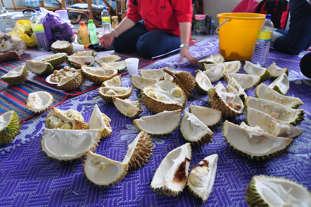 Durian Raub