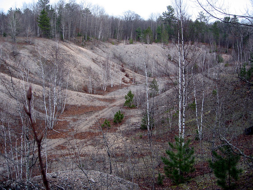 trees landscape gravelpit