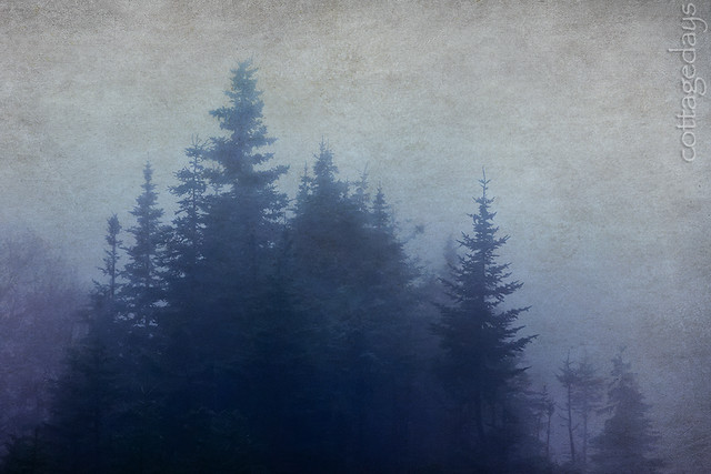 Cape Breton foggy silhouettes