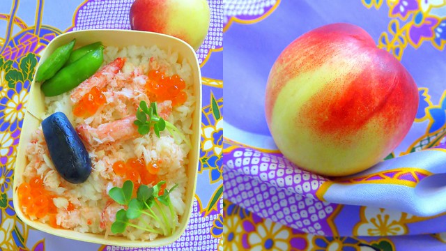 cooling seafood and rice bento