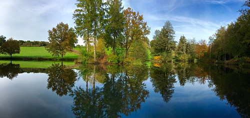 autumn trees panorama lake reflection nature landscape sussex mirror countryside pond southofengland autumnal iphonepanorama furnersgreen iphone6s sheffieldforest