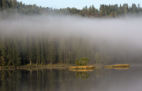 mist nature water norway fog forest landscape norge woods sony natur arna skog bergen hordaland vann tåke landskape noreg gaupås sonyslta77 “sonyflickraward