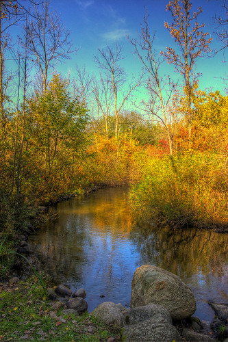color tree fall water rock creek forest outside warm afternoon michigan unitedstatesofamerica augusta hdr adobecameraraw photomatix kelloggforest nikviveza augustacreek