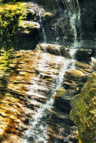 waterfall jacksonfalls tennesseewaterfall natchezparktn