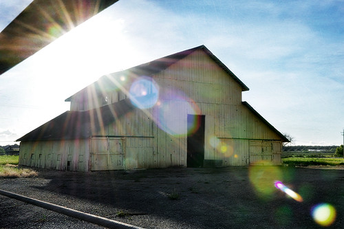 sun flare | by *jdarby*