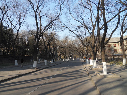 Winter of Yanyuan 冬日燕园