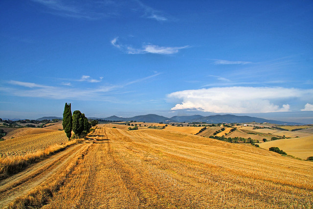Tuscany country