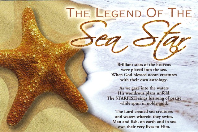 Sea Star Legend postcard - available