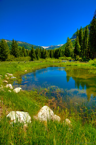 reflection tree nature water rock pine forest canon landscape pond outdoor mark ii 5d tetons scape hdr targhee