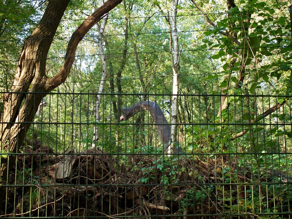 Bos Birkhoven