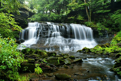 Springfield Falls | by Christy Hibsch