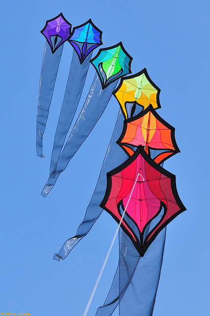Kite-Flying (20110814-135735-PJG 01)
