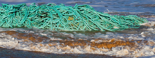 seascape beach water canon landscape waves rope victoria saltwater washup gippsland 24105mm 5dmkii