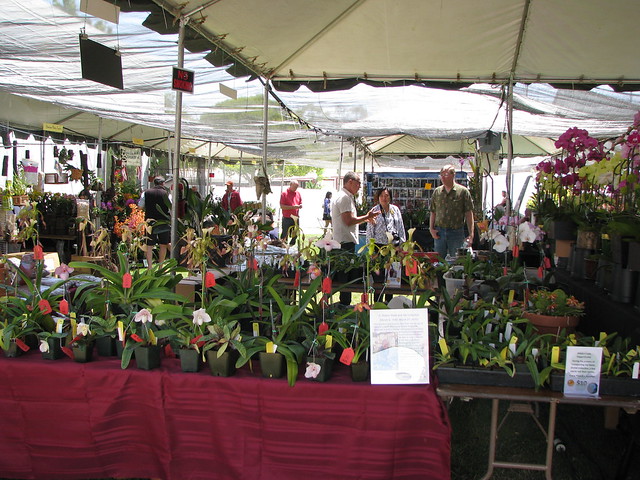Santa Barbara International Orchid Fair