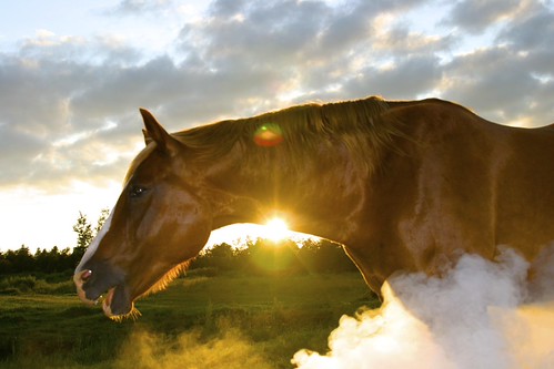Smoke to Keep Bugs Away by Kelly Rundell, sunset