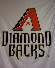 Arizona Diamondbacks Banner - MLB 2011 All-Star Game - FanFest