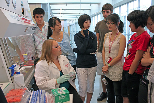 Chinese and American high school students participating in the inaugural Global Wisconsin Idea Program session on the UW-Madison campus learn about stem cells in the teaching lab at the Wisconsin Institutes for Discovery. (Photo: Kerry G. Hill) | by UW International Division