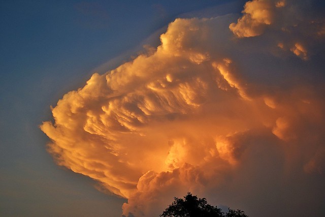 Evening thunderhead