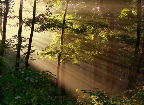 morning in the park          EXPLORE | by halina-anna
