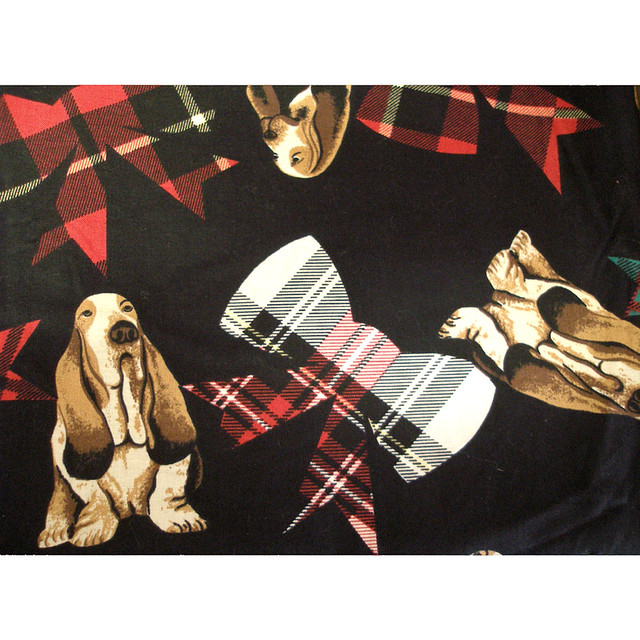 Dog and tartan fabric