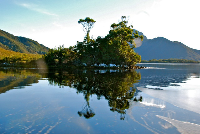 Quiet Reflection--SW Wilderness, Tasmania