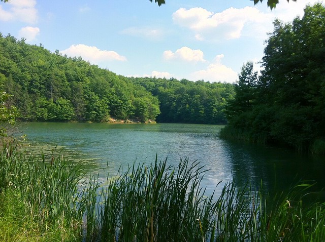 Long Branch Lake