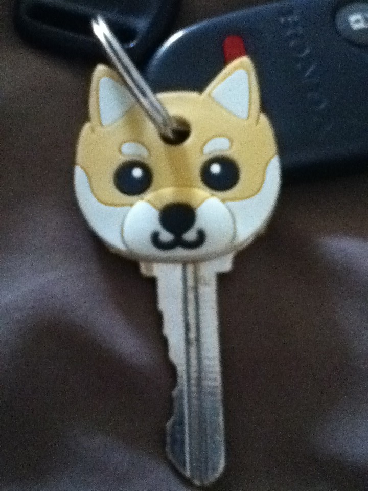 shiba keycover - given to taro's pack from yuki the shiba's … - Flickr
