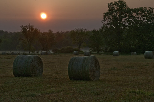 field sunrise hay bales