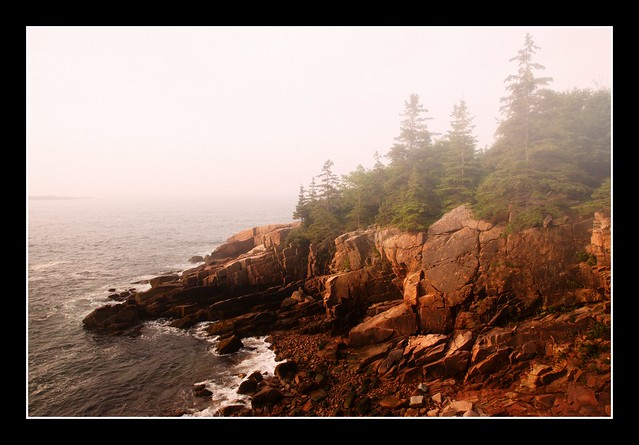 Along Ocean Path - Morning, Acadia National Park