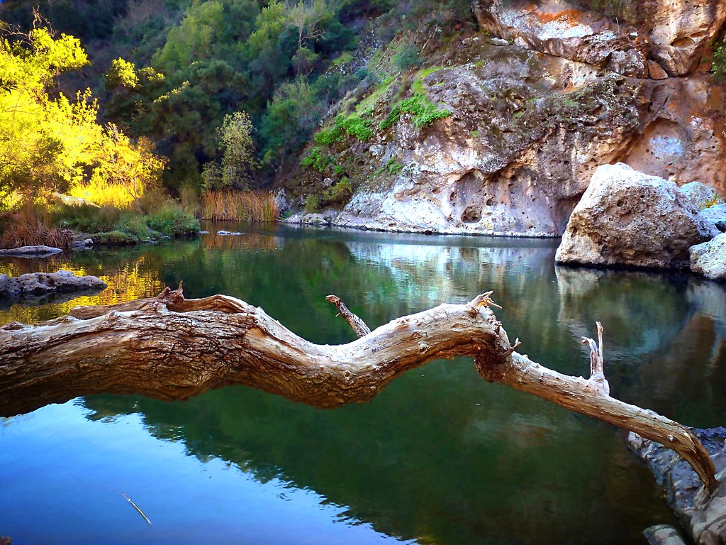 Malibu Creek State Park. One of the prettiest places in th ...