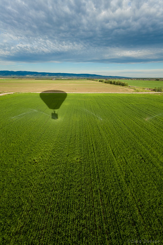 shadow nature landscape ride outdoor farm air balloon idaho landing land scape driggs canon5dmarkii