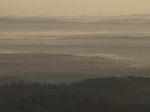 morning fog sunrise landscape dawn aperture australia olympus nsw serene e3 zuiko gitzo huntervalley zd 50200mmswd gt2542l